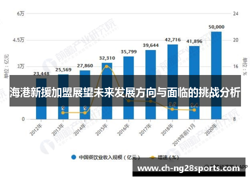 海港新援加盟展望未来发展方向与面临的挑战分析