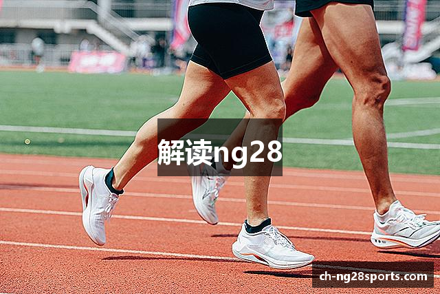 解读ng28